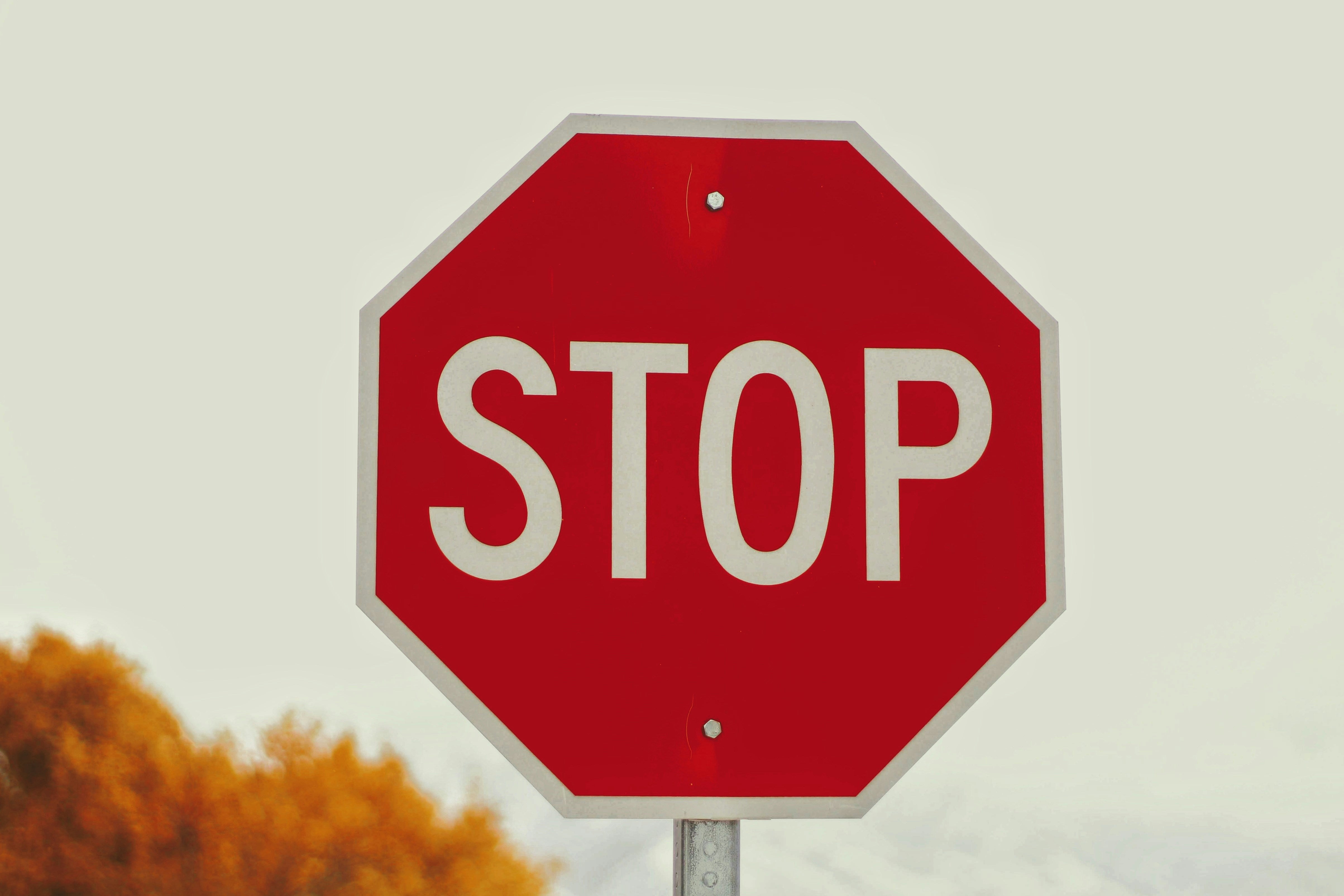 Pathological Demand Avoidance and Anxiety in Autistic Adults